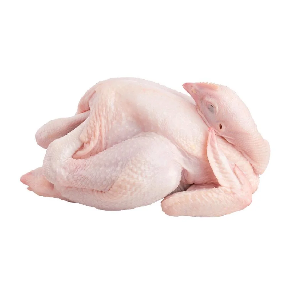 Fresh Whole Chicken