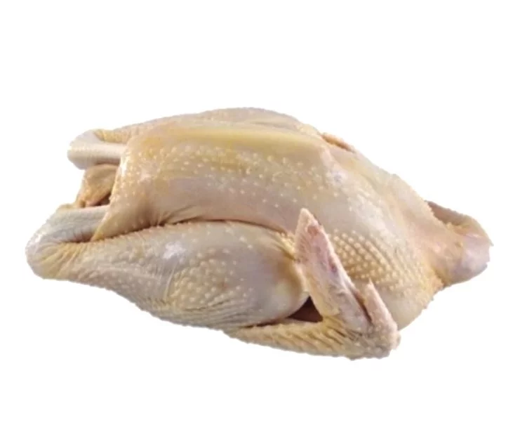 Fresh Kampung Chicken