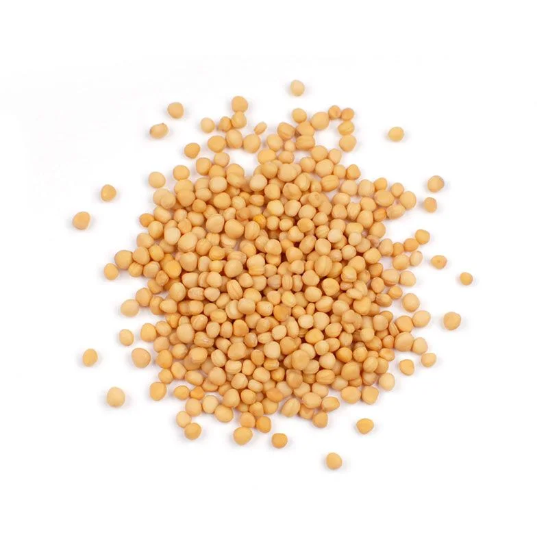 Mustard Seed / Biji Sawi