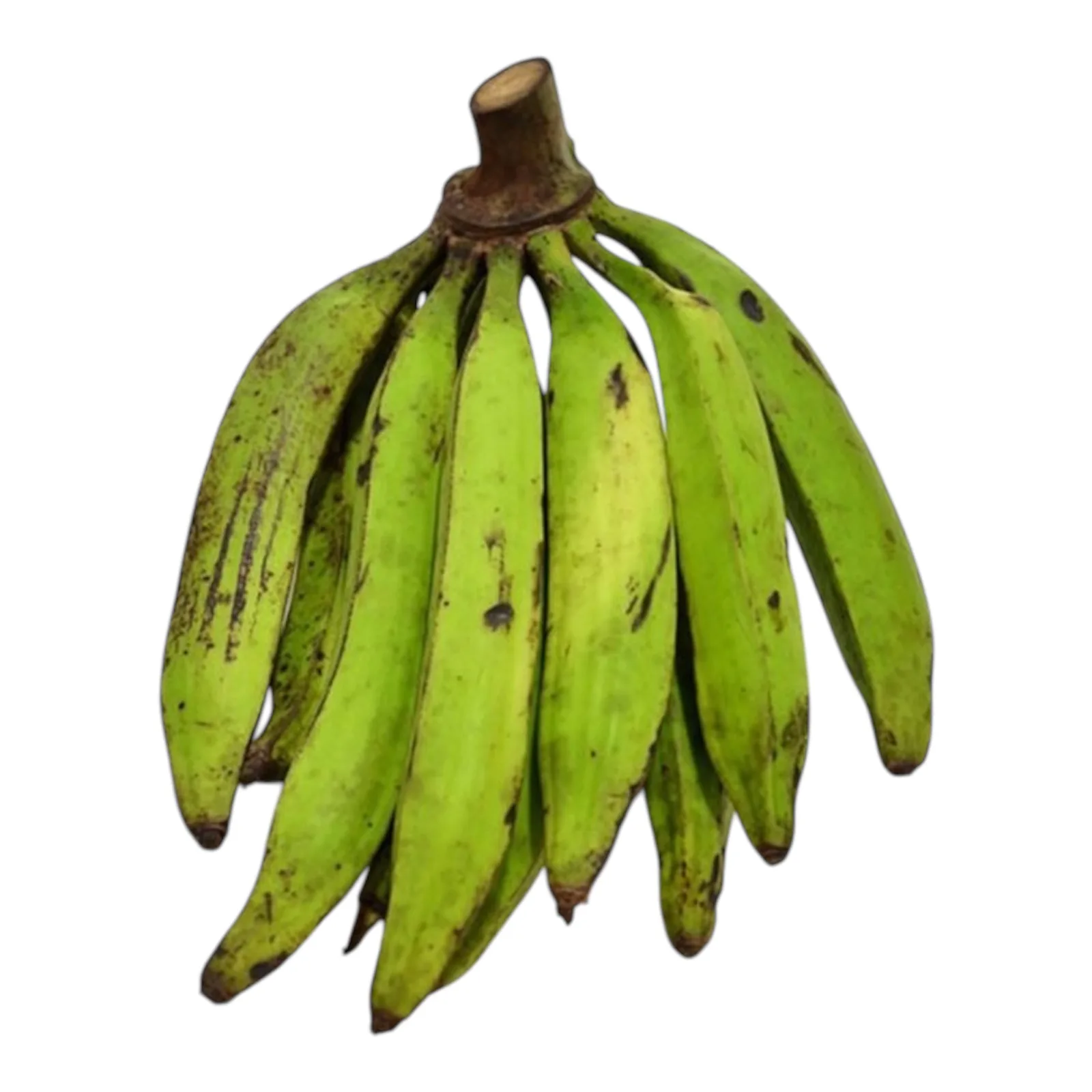 Pisang Tanduk / Horn Banana